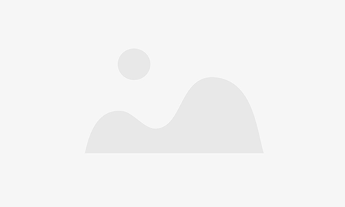 市委常委、常务副市长刘峰带队到交通物流集团开展专题调研