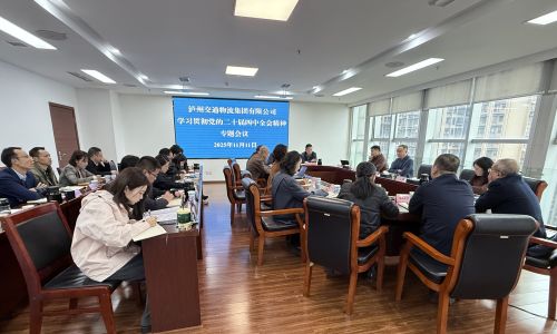 泸州交通物流集团召开专题会议，深入学习贯彻党的二十届四中全会精神