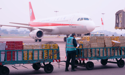 客运日均8500余人次 货运量激增1191% 泸州机场春节运输数据快报