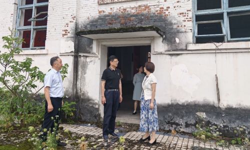 专家“把脉”赋能 蓝田机场驼峰航线展陈建设取得新进展