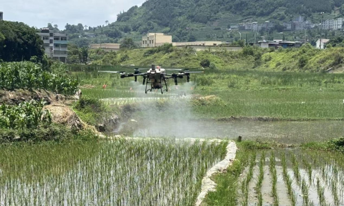 田间迎来“空中管家”：无人机赋能农林植保精准作业